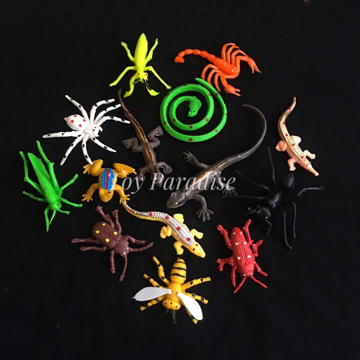 Poka Set